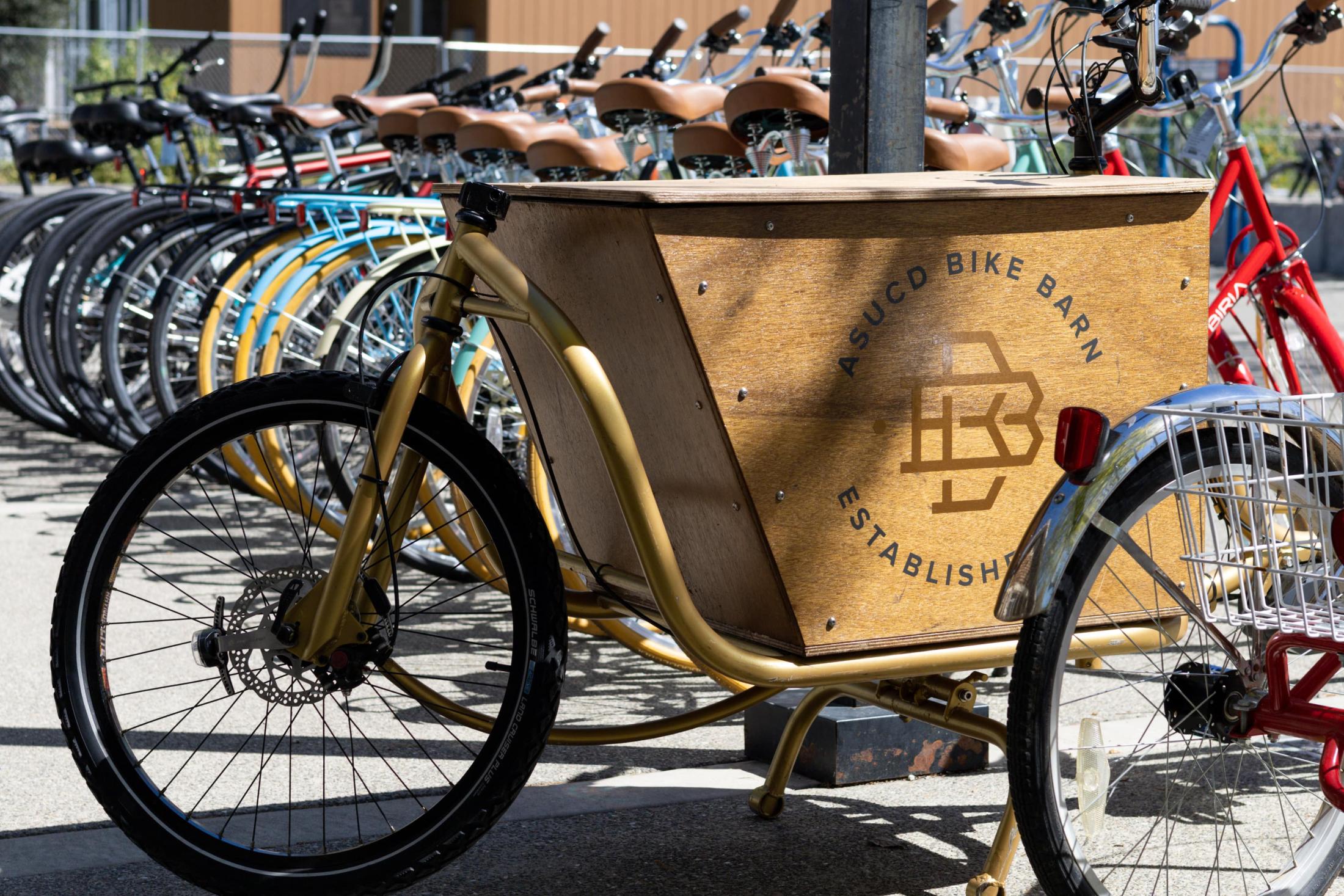 Bike Barn Cargo Bike