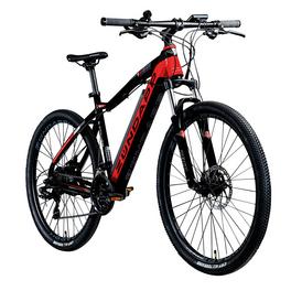 Ebike with Large Spoked Wheels