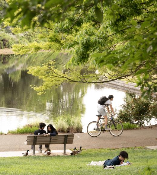 People relaxing along the arboretum waterway: cyclist passes two people sitting on a bench, and another person lies in the grass.